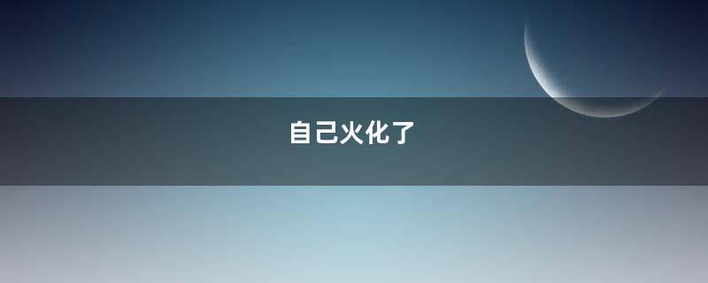 自己火化了