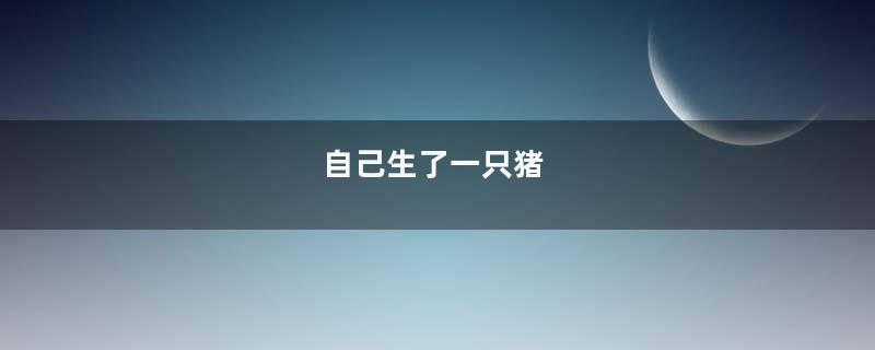 自己生了一只猪