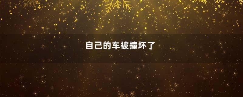 自己的车被撞坏了