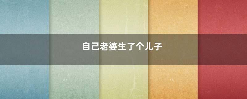自己老婆生了个儿子