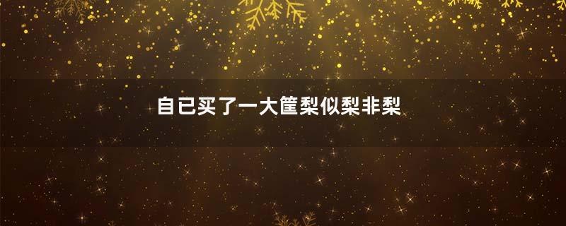 自已买了一大筐梨似梨非梨