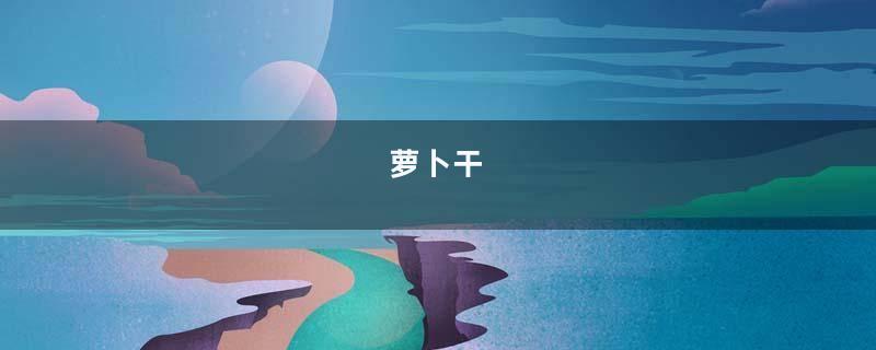 萝卜干