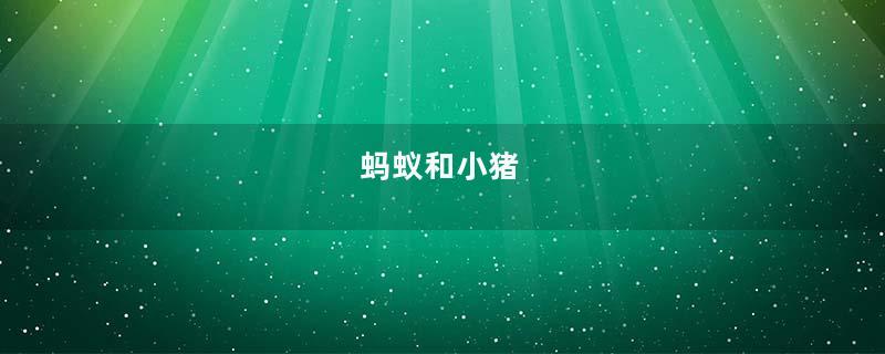 蚂蚁和小猪