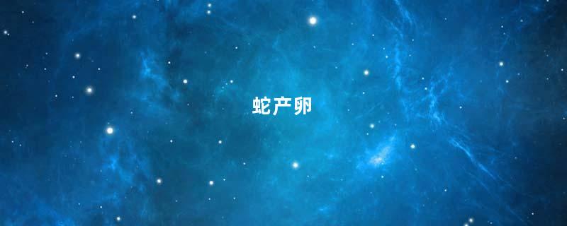 蛇产卵