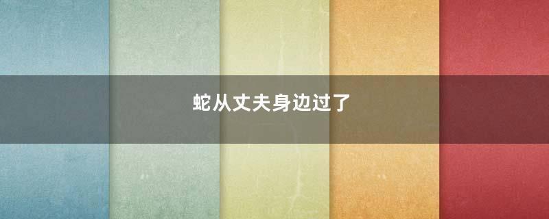 蛇从丈夫身边过了