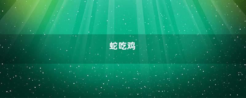 蛇吃鸡
