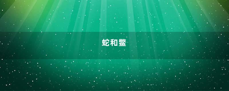 蛇和鳖