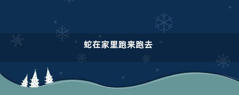 蛇在家里跑来跑去