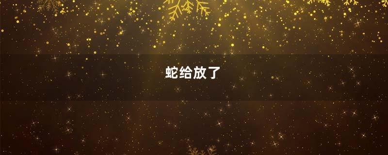 蛇给放了