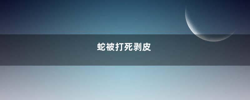 蛇被打死剥皮