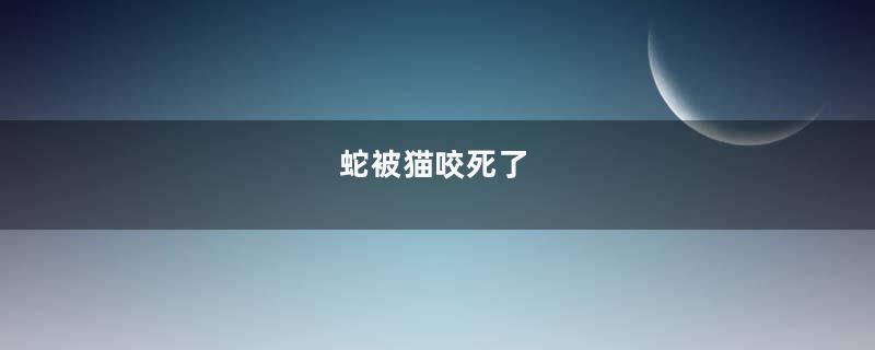 蛇被猫咬死了