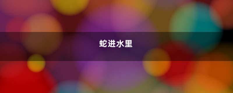 蛇进水里
