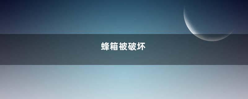 蜂箱被破坏