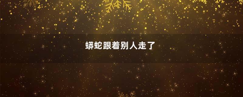 蟒蛇跟着别人走了