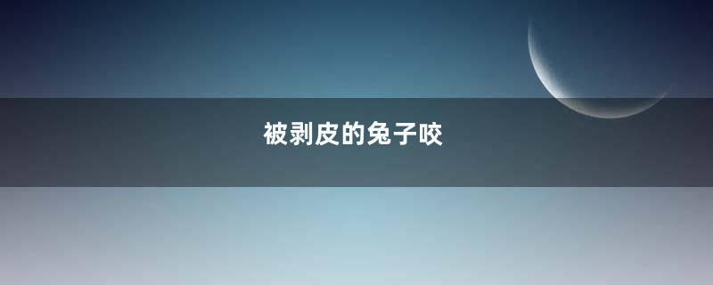 被剥皮的兔子咬