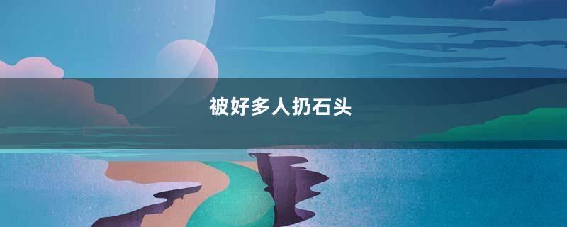 被好多人扔石头