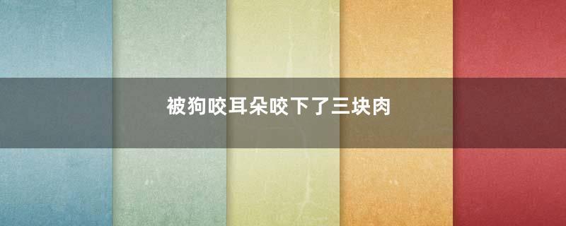 被狗咬耳朵咬下了三块肉