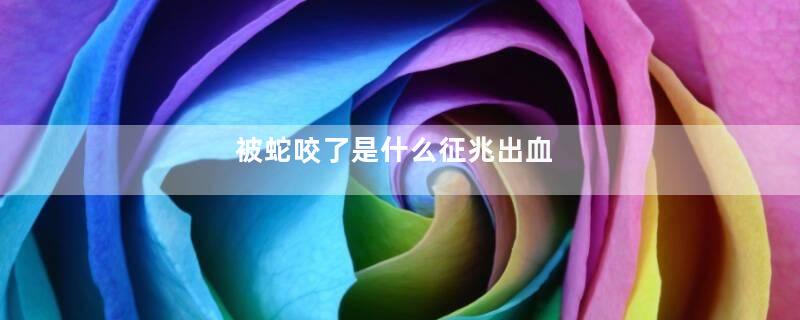 被蛇咬了是什么征兆出血