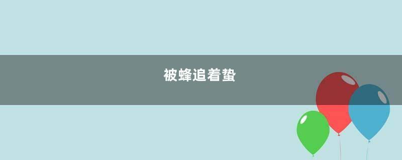 被蜂追着蛰