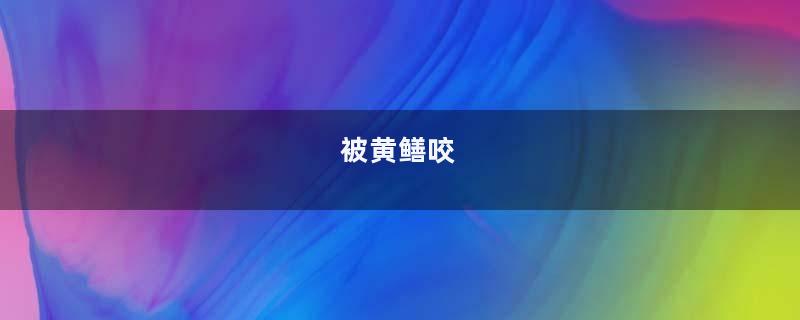 被黄鳝咬