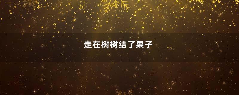 走在树树结了果子