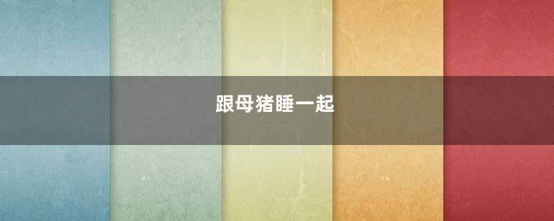 跟母猪睡一起