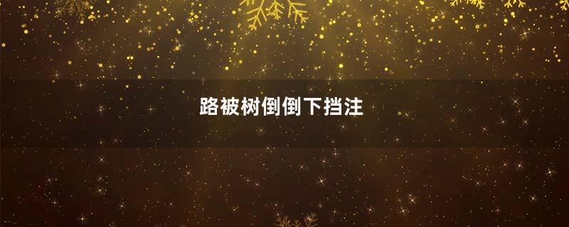 路被树倒倒下挡注