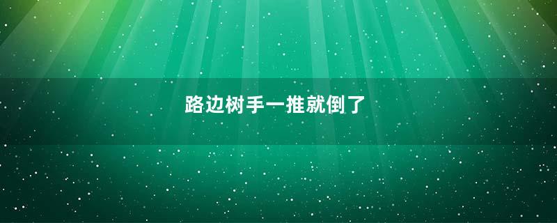 路边树手一推就倒了