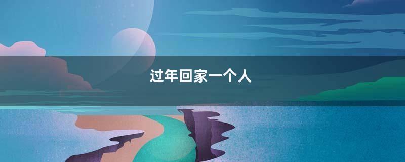 过年回家一个人