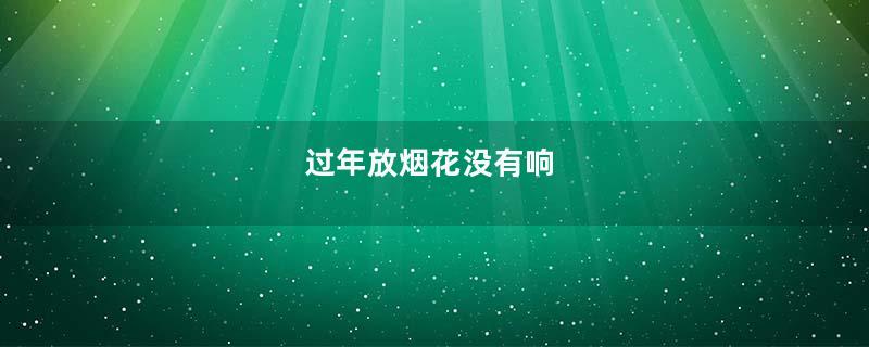过年放烟花没有响