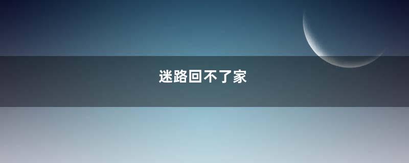 迷路回不了家