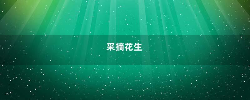 采摘花生