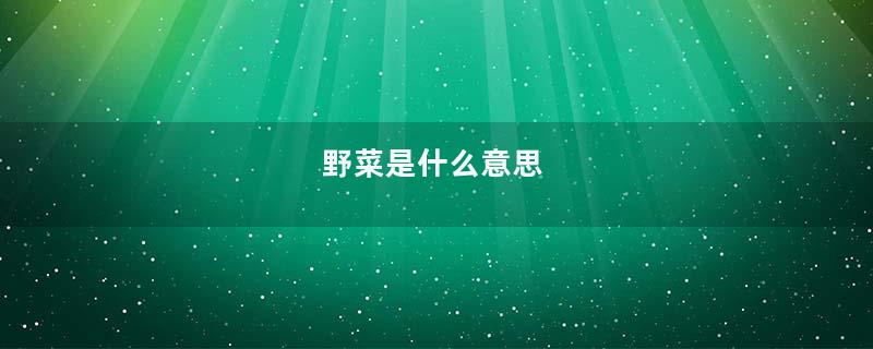 野菜是什么意思