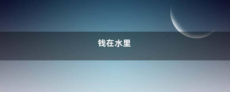 钱在水里