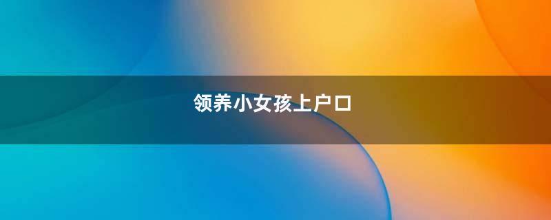 领养小女孩上户口