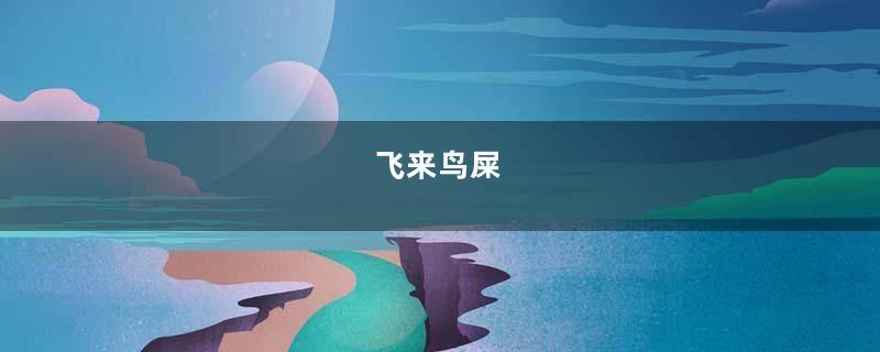 飞来鸟屎