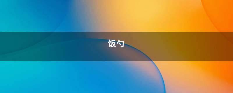 饭勺