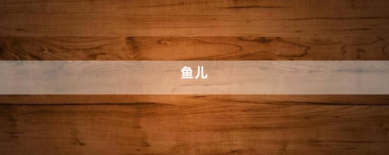 鱼儿