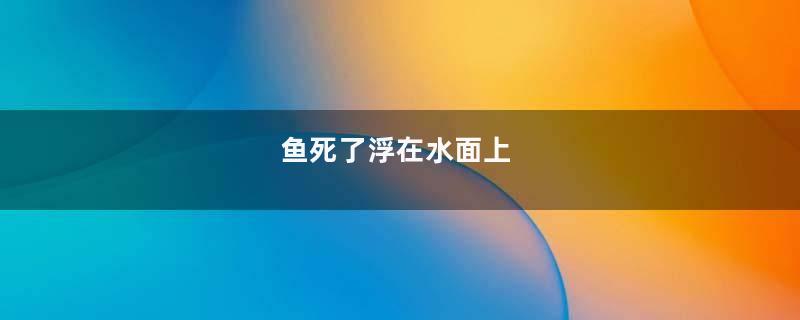 鱼死了浮在水面上