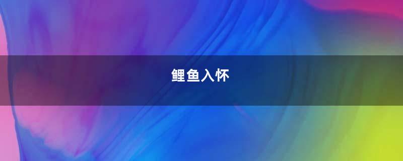 鲤鱼入怀