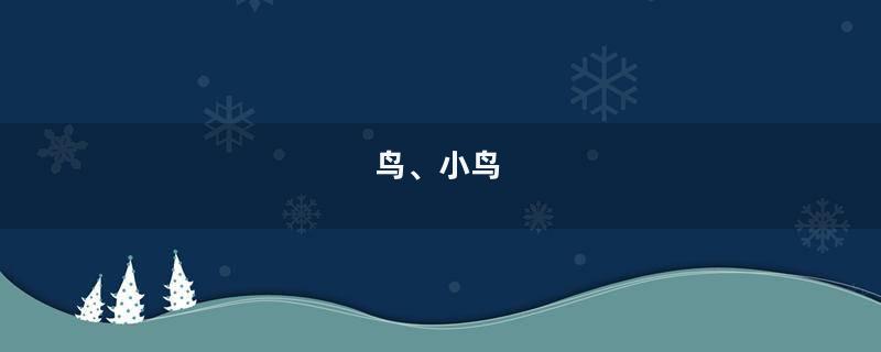 鸟、小鸟