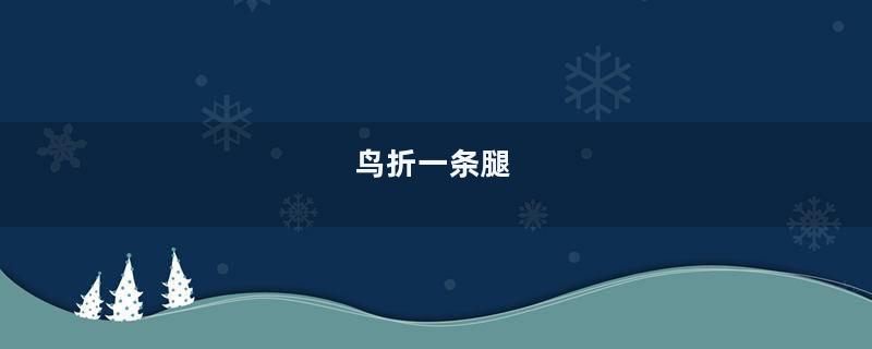 鸟折一条腿