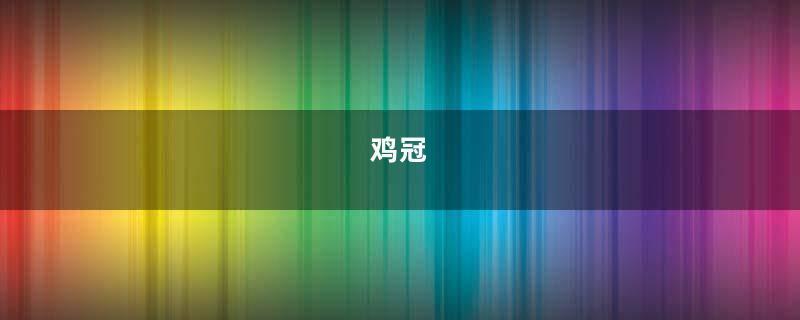 鸡冠