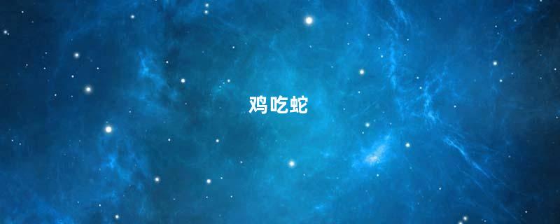 鸡吃蛇