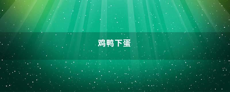 鸡鸭下蛋