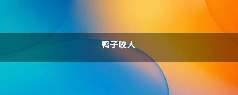 鸭子咬人