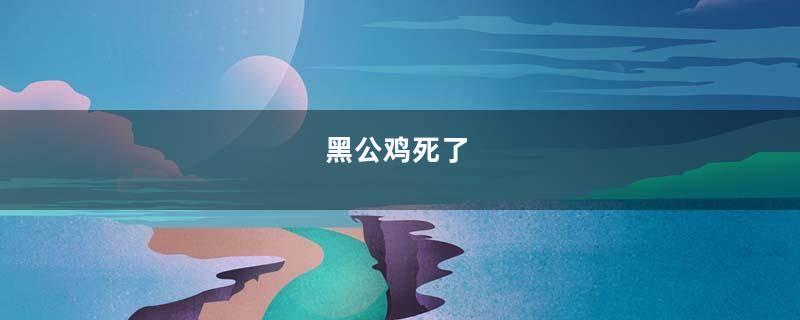 黑公鸡死了