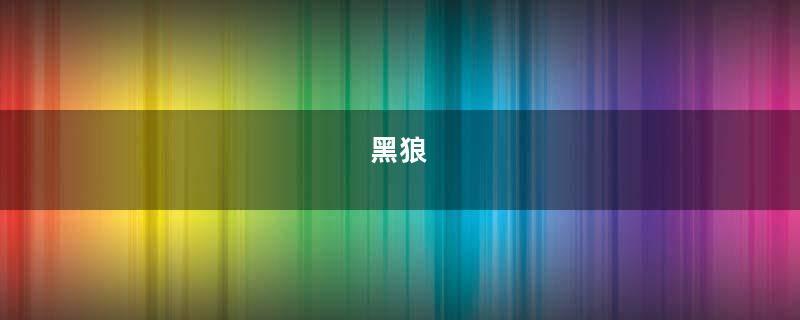 黑狼