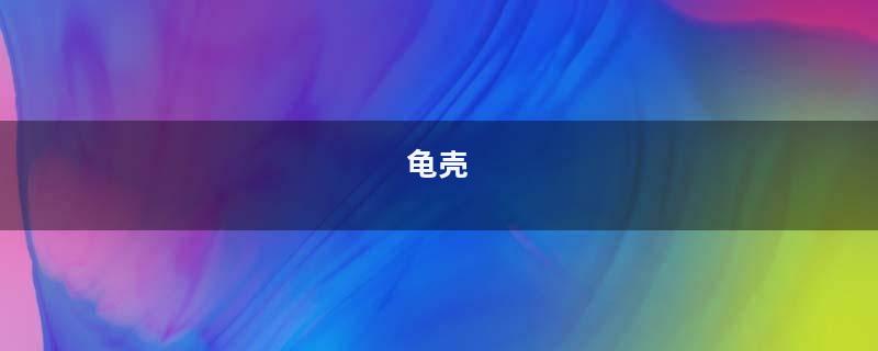 龟壳